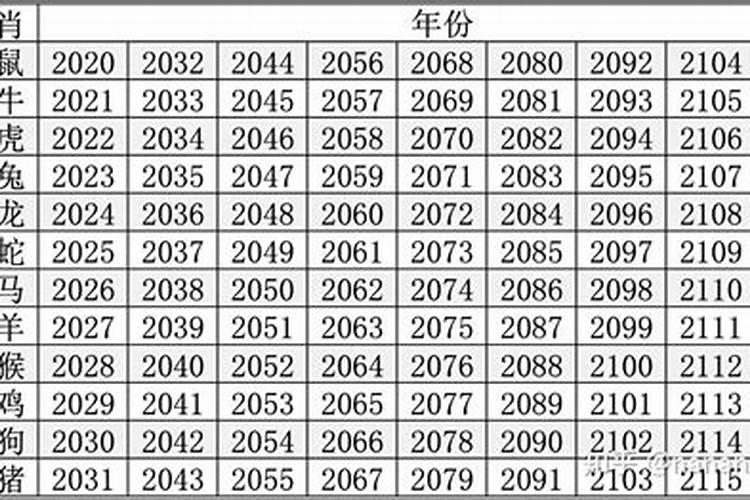 2030年属什么生肖年