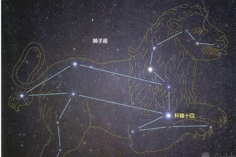 狮子座的其他星座是什么