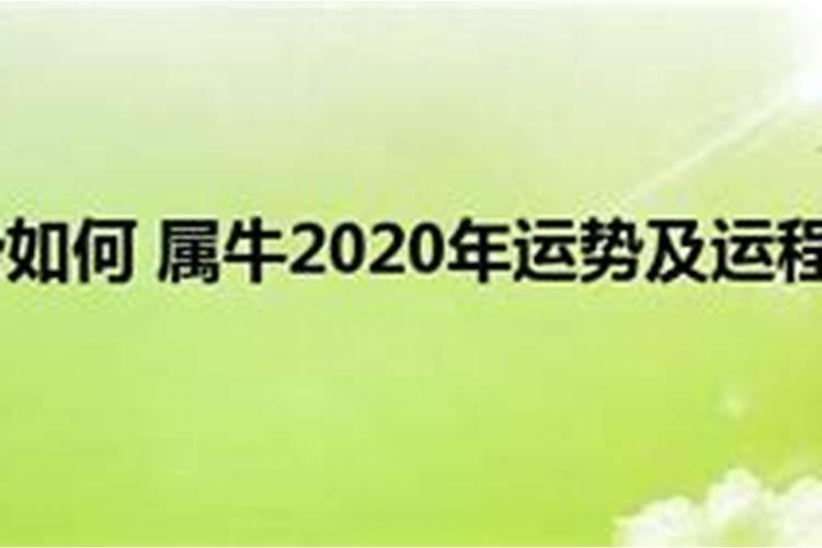 丑牛2020年每月运势