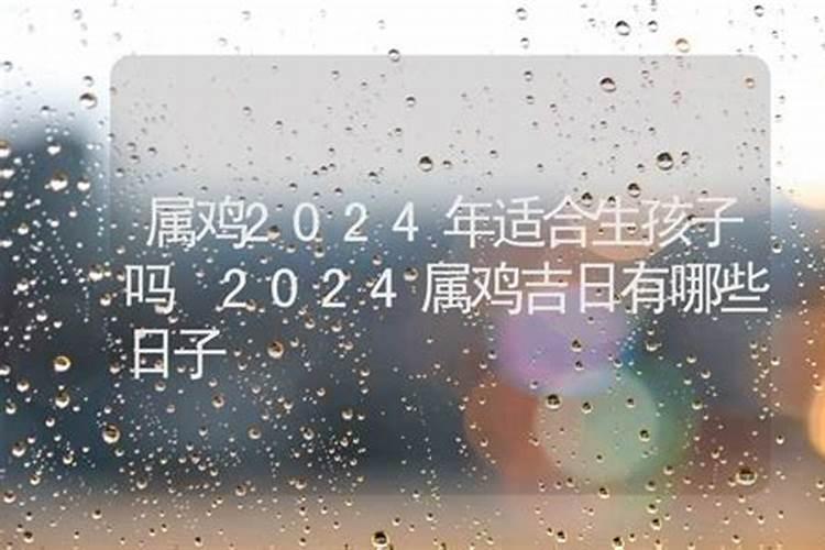 2024年宜生孩子的属相