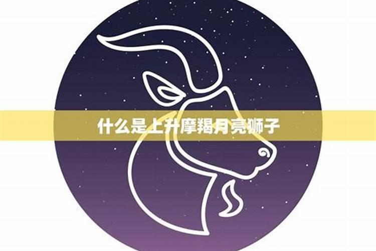 太阳摩羯,上升狮子,月亮水瓶