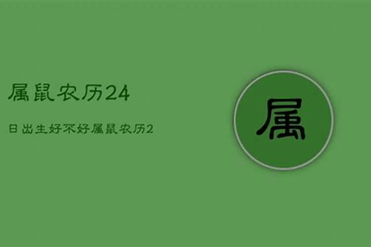 2023属鼠农历5月出生好不好呀