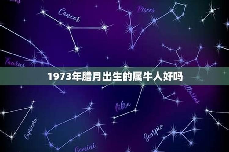 1973属牛人的性格