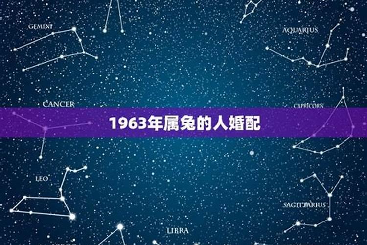 1963年属相与婚配