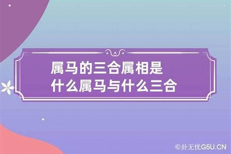 属马跟什么三合相配