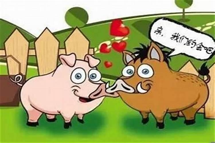 猪和羊相配婚姻如何呢