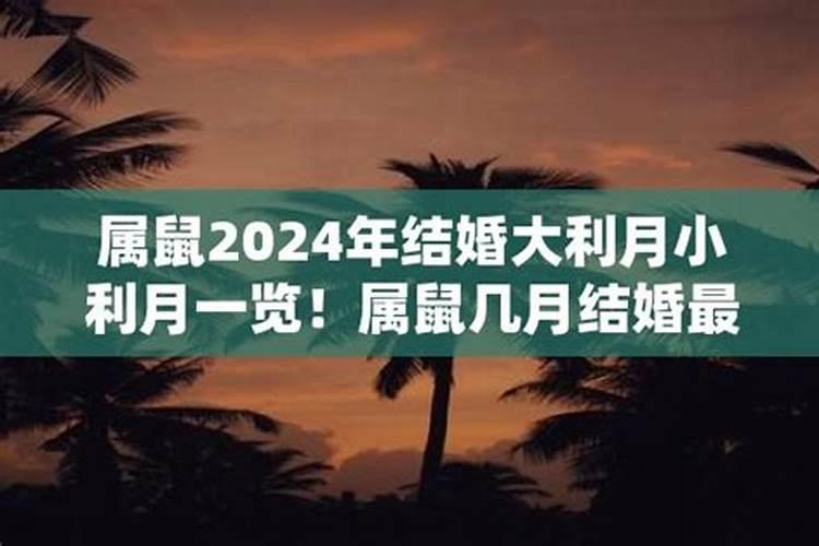 属鼠的几月份结婚最好