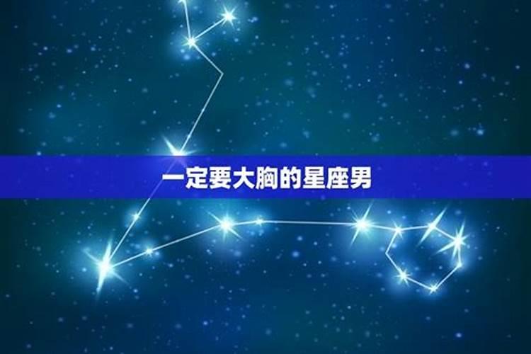 12星座喜欢胸大的星座