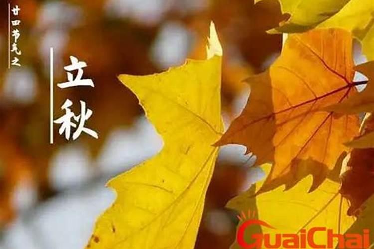 今年立秋在什么时候几点