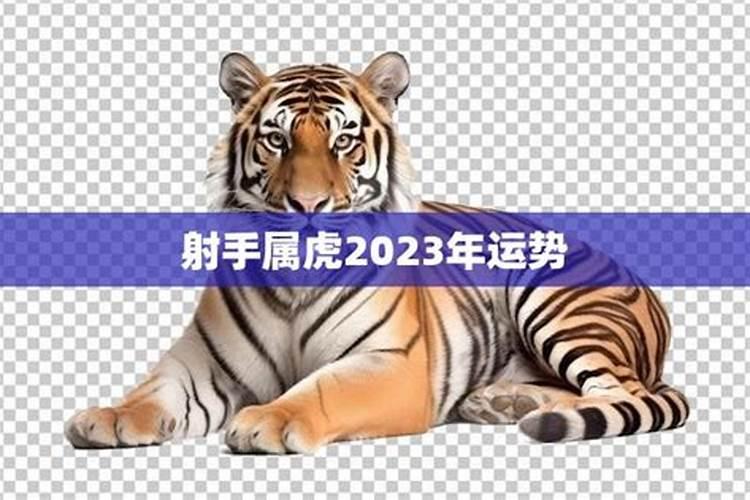 虎射手2021