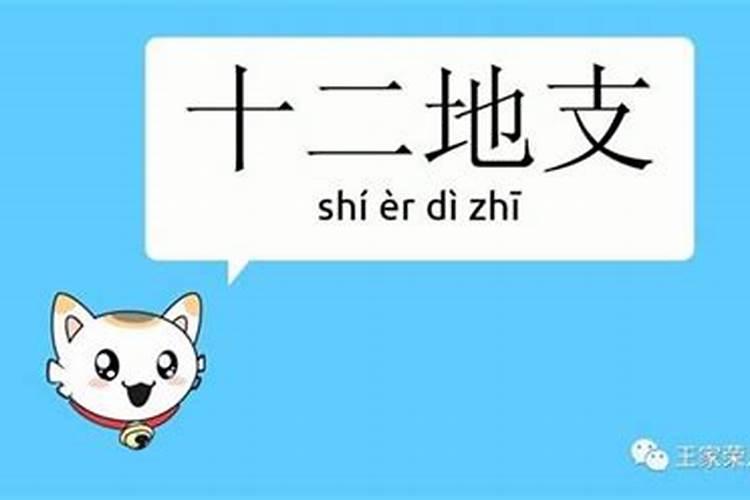 八字日支寅