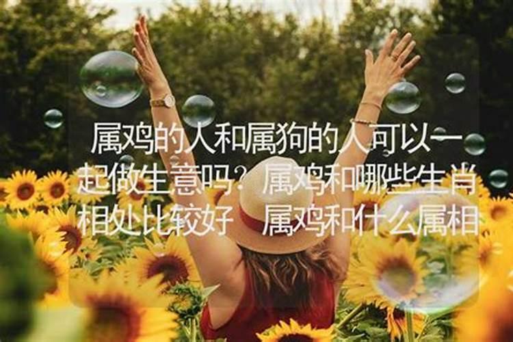 做生意哪些属相合财