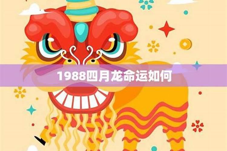 1988年四月二十四属龙的什么命