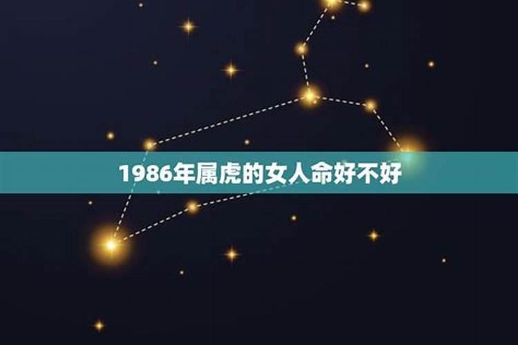 1986年属虎的好不好命