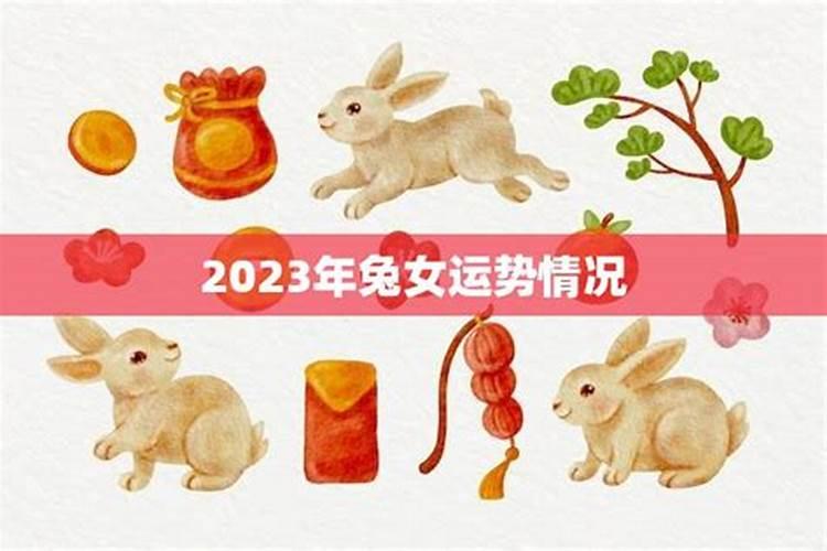 2023年属兔女人运势