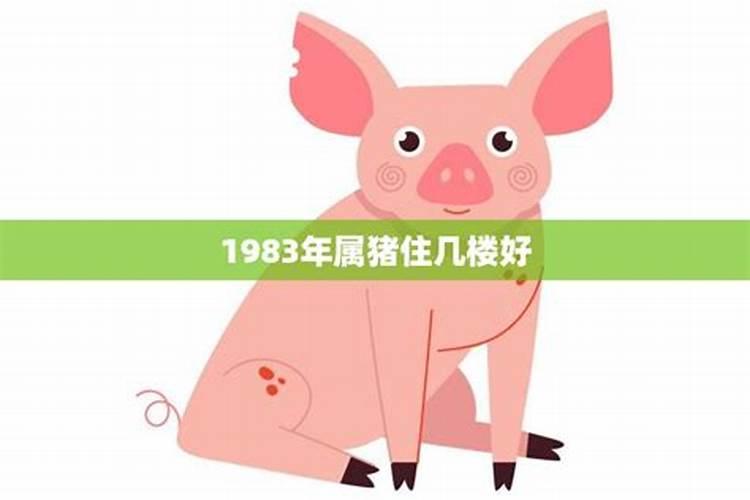 1983年属猪适合住的楼层是什么