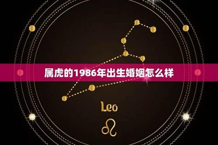 1986属虎婚姻最终归宿是什么意思啊