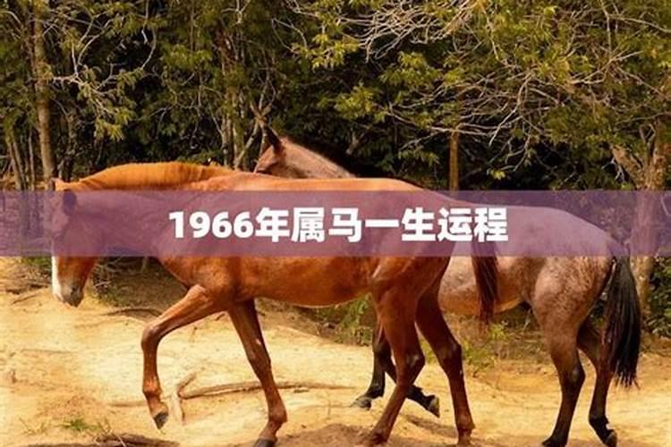 90年2月的马一生的命运