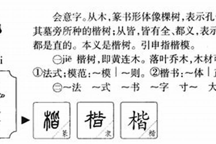 楷字五行属什么取名寓意