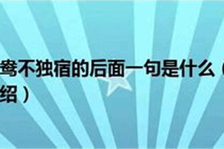 属龙的人2023年的运势及运程大家找