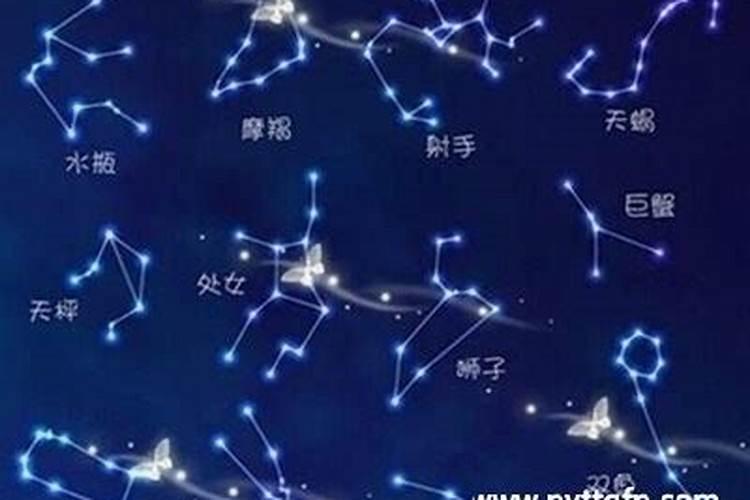 2023年旧情复燃的星座