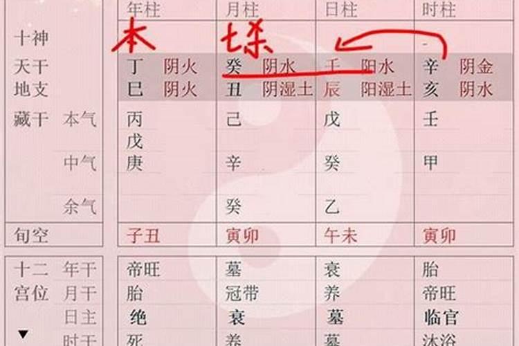 八字巳午未合什么意思