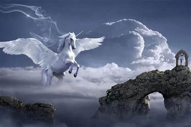 梦见天空有很漂亮的马