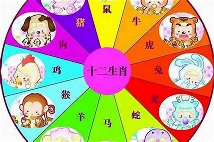 浅蓝色五行属什么生肖