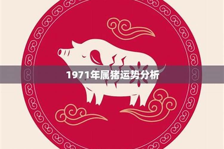 1971属猪十年运势如何