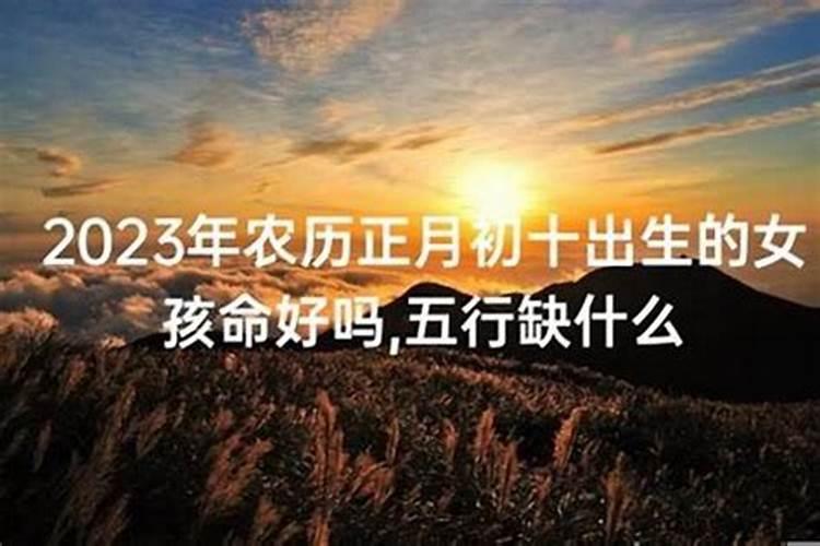 2023年兔犯什么太岁