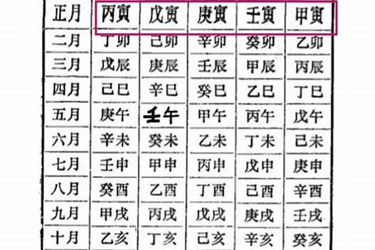 乙亥丙戌辛卯癸巳八字