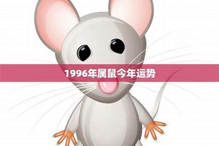 1996年属鼠的运气今年怎么样