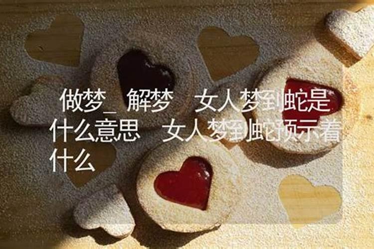 老年女人梦到蛇是什么意思啊