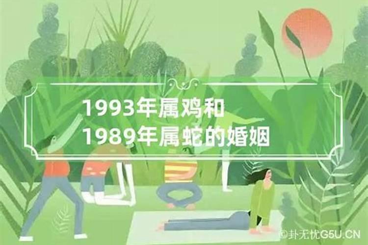 93年属鸡和01年属蛇怎么样