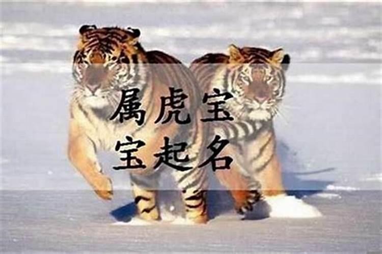 属虎的起什么名字好男孩子两个字