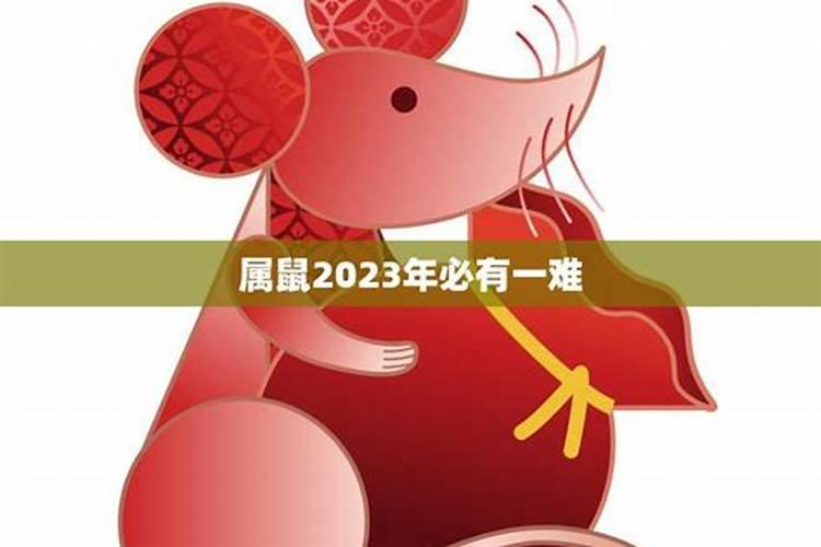 2023属鼠带什么好