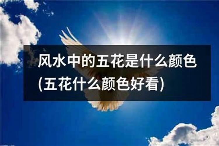 风水学颜色代表什么