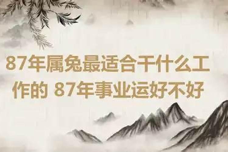 87年属兔的适合什么工作