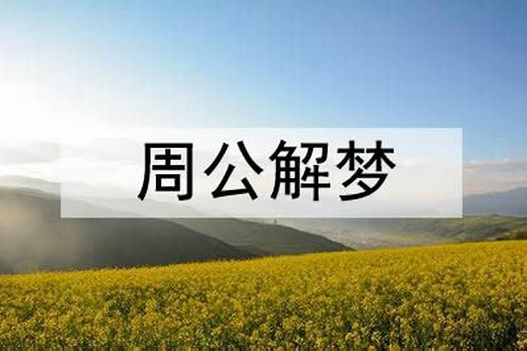 梦见爸爸和别人发生冲突