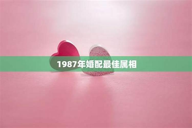 1987年和哪个属相婚配