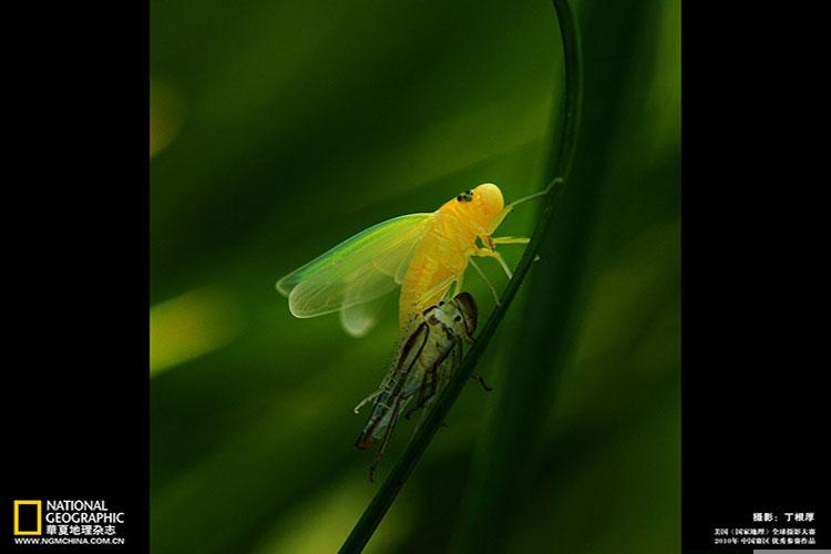 春节期间去哪玩好