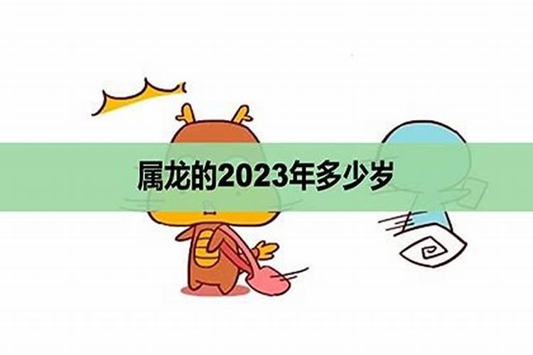 属龙的2023年多少岁了