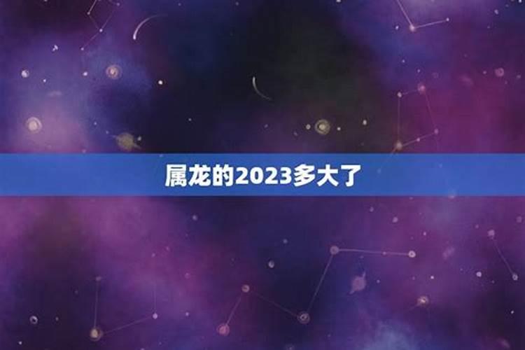 属龙的2023年多少岁了