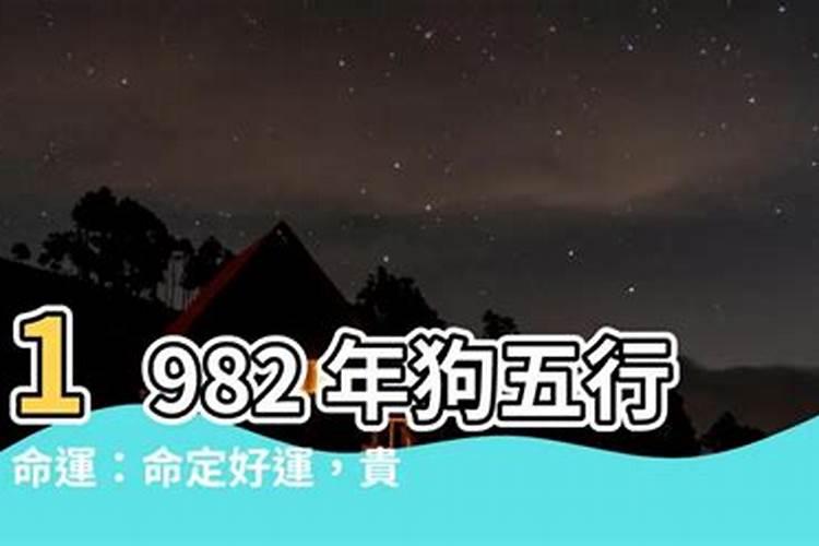 1982年狗五行属什么水