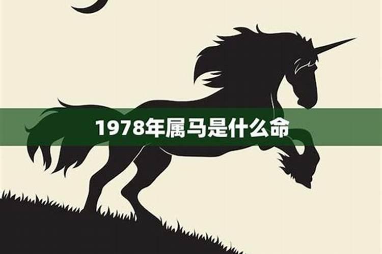 1978年属马2020年12月运势