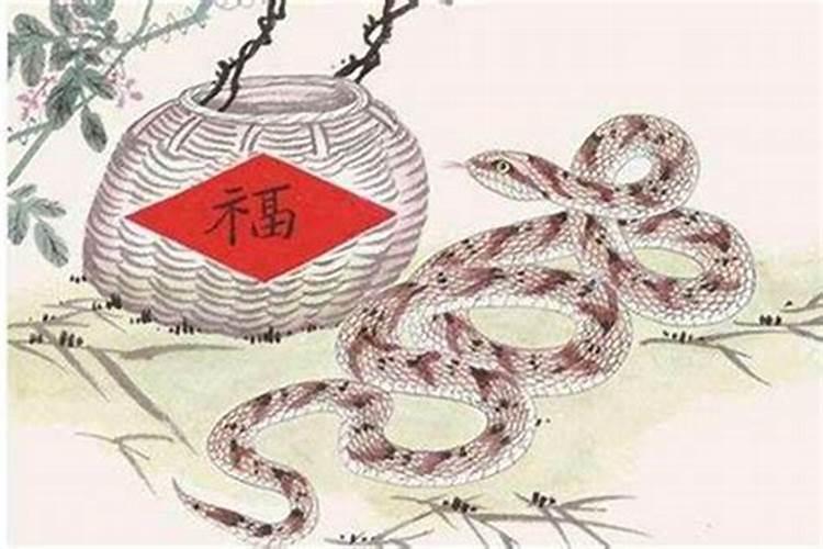 1977年属蛇的人适合住几楼好