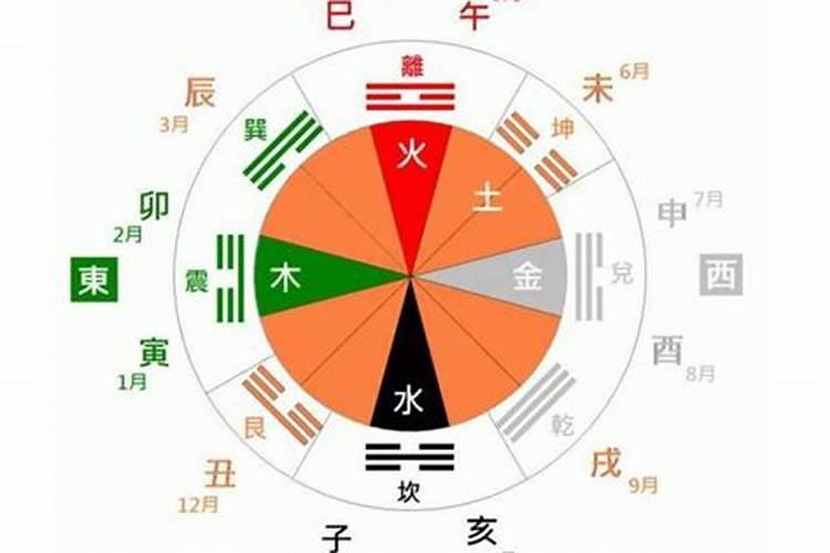 怎么看八字的天干地支