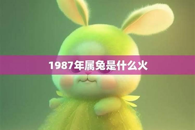 1987年属兔是什么火兔