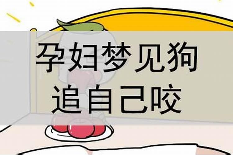 孕妇梦见狗追自己咬什么意思