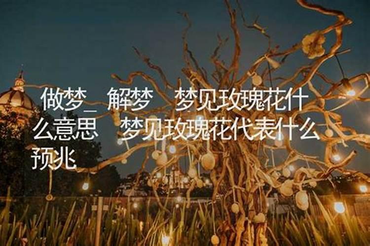 梦到了花什么意思